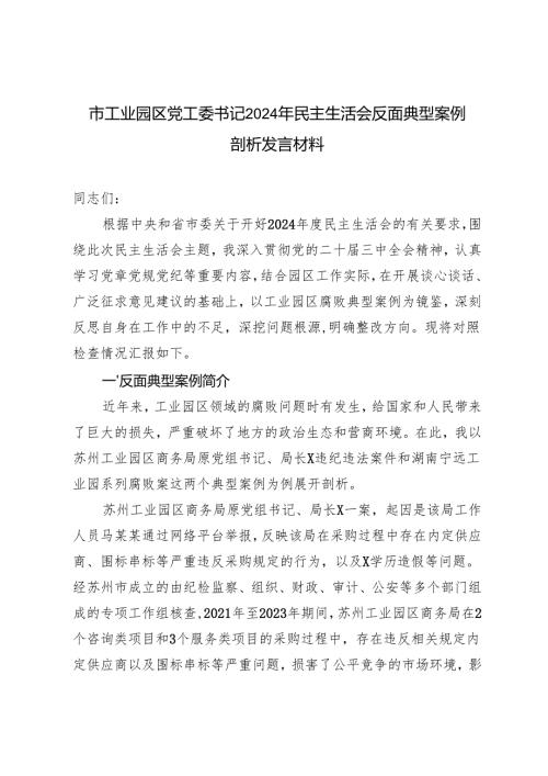 2025年党工委书记民主生活会反面典型案例剖析发言材料.docx