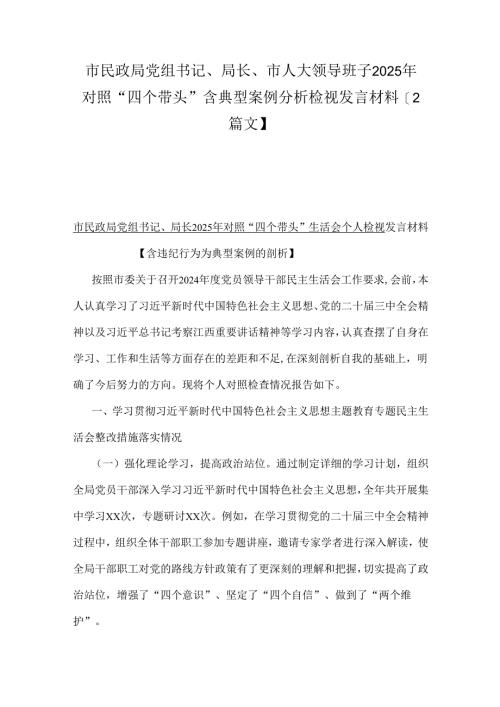 市民政局党组书记、局长、市人大领导班子2025年对照“四个带头”含典型案例分析检视发言材料【2篇文】.docx