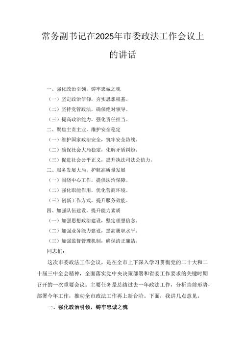 常务副书记在（2025年）市委政法工作会议上的讲话.docx