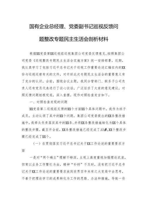 国企总经理、党委副书记巡视反馈问题整改专题民主生活会剖析发言材料.docx