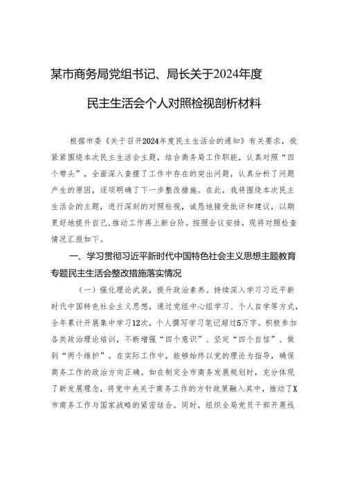 某市商务局党组书记、局长关于2024年度民主生活会个人对照检视剖析材料.docx