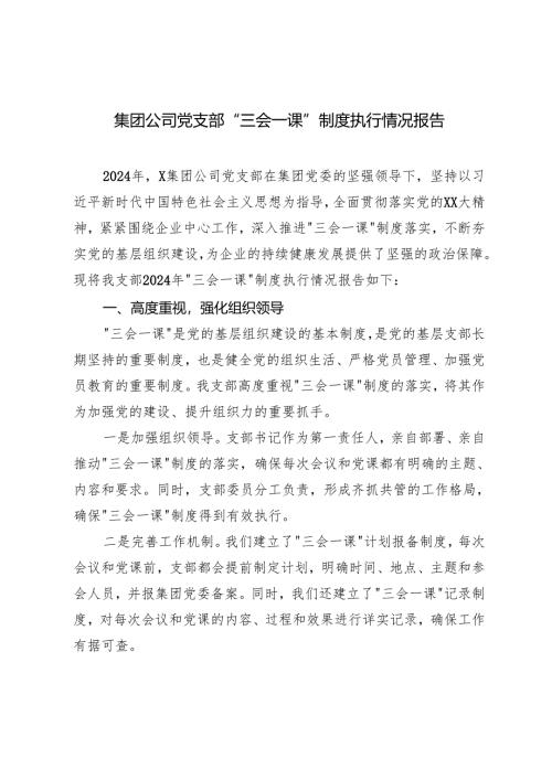 2025年集团公司党支部2024年“三会一课”制度执行情况报告.docx