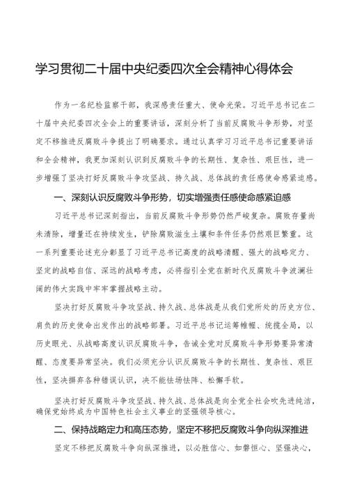 纪检干部学习贯彻二十届中央纪委四次全会精神的心得体会发言稿十三篇.docx