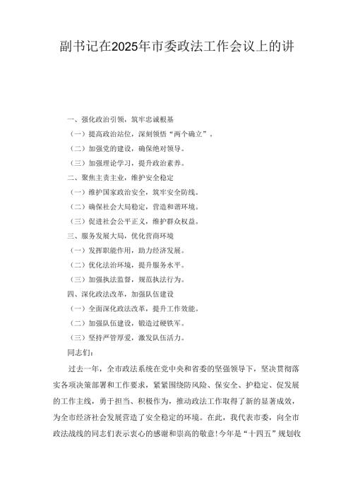 副书记在（2025年）市委政法工作会议上的讲话.docx