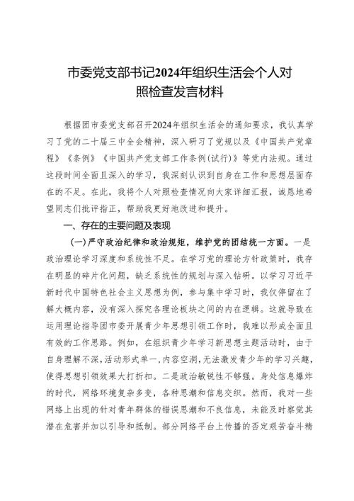 团市委党支部书记2024年组织生活会个人对照检查发言材料.docx