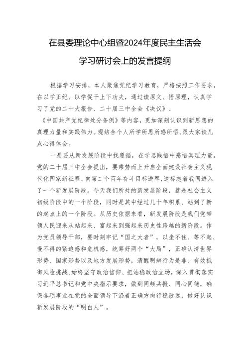 在县委理论中心组暨2024年度民主生活会学习研讨会上的发言提纲.docx
