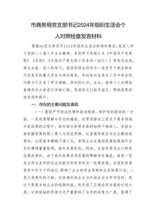 市商务局党支部书记2024年组织生活会个人对照检查发言材料.docx