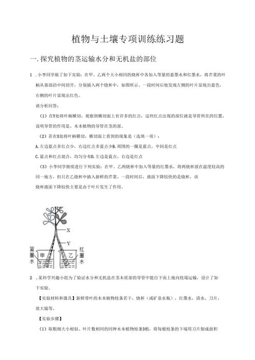 2025浙教版八年级科学下册第四章植物与土壤专项训练练习题.docx