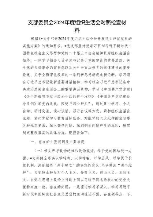 支部委员会2024年度组织生活会对照检查材料1.docx