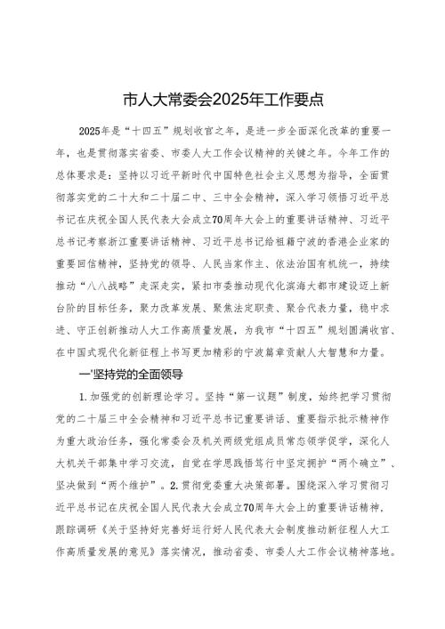 市人大2025年工作要点.docx