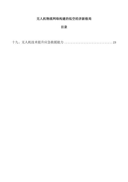 无人机物流网络构建的低空经济新格局.docx