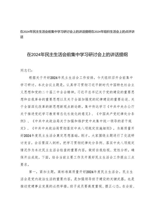 （民主、组织）2025年民主生活会前集中学习研讨会上的讲话提纲+组织生活会上的点评讲话.docx