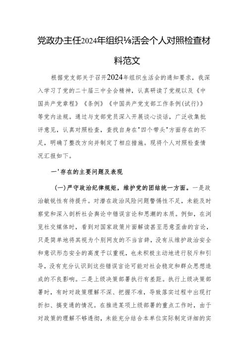 党政办主任2024年组织生活会个人对照检查发言材料范文.docx