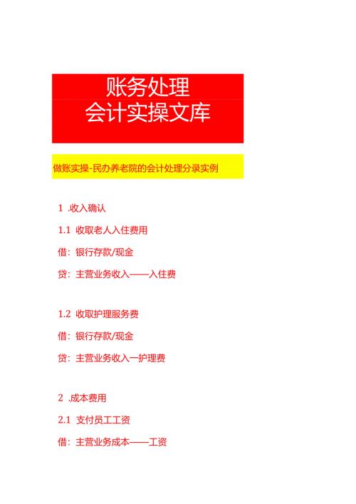 做账实操-民办养老院的会计处理分录实例.docx
