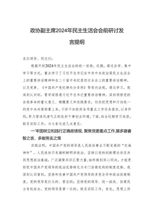 政协副主席2024年民主生活会会前研讨发言提纲.docx