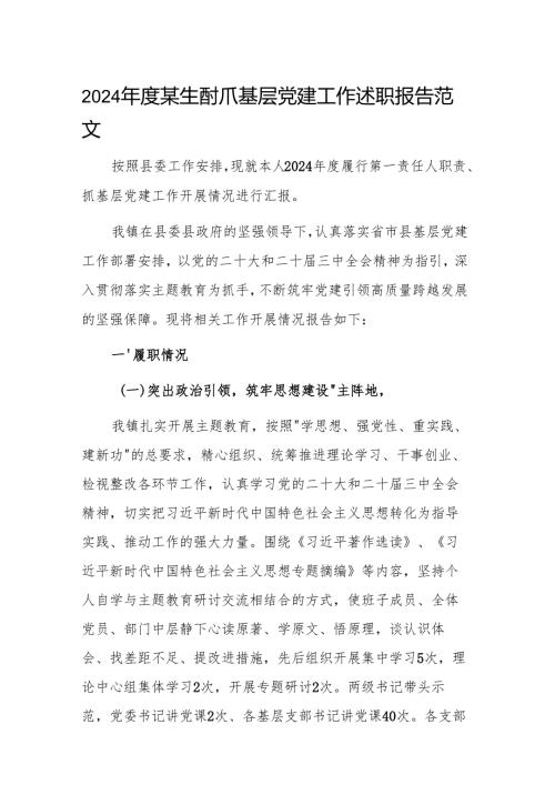 2024年度某镇抓基层党建工作述职报告范文.docx
