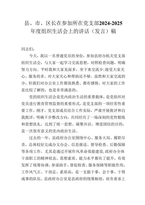 县、市、区长在参加所在党支部2024-2025年度组织生活会上的讲话（发言）稿.docx