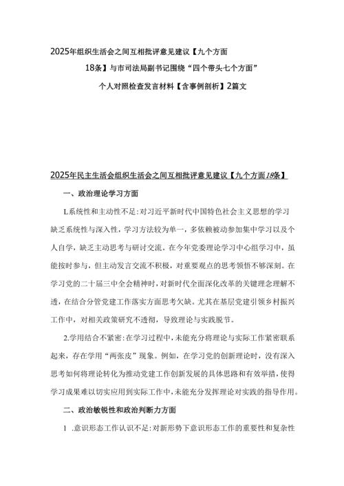 2025年组织生活会之间互相批评意见建议【九个方面18条】与市司法局副书记围绕“四个带头七个方面”个人对照检查发言材料【含事例剖析】2篇文.docx