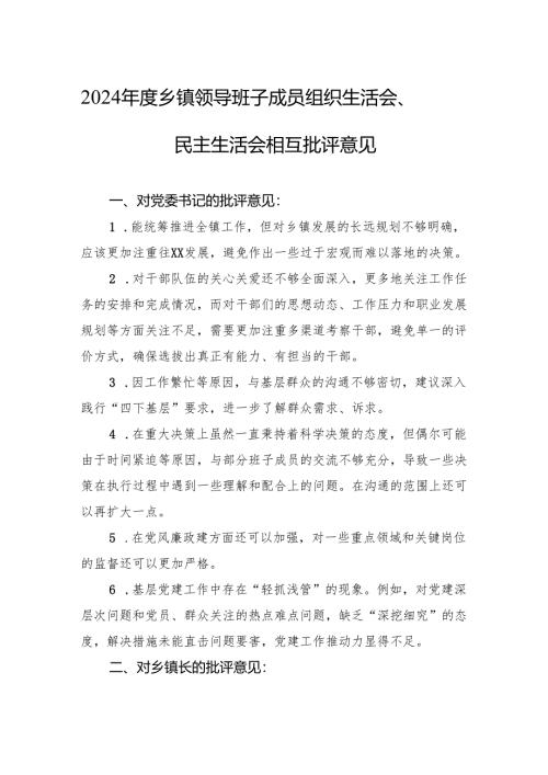 2024年度乡镇领导班子成员组织生活会、民主生活会相互批评意见.docx
