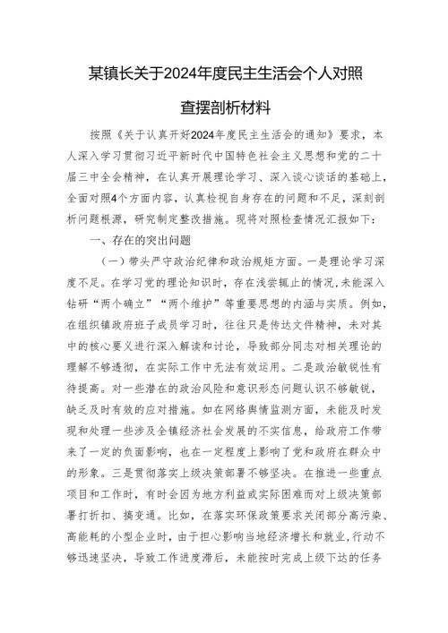某镇长关于2024年度民主生活会个人对照查摆剖析材料 四个带头 案例剖析.docx