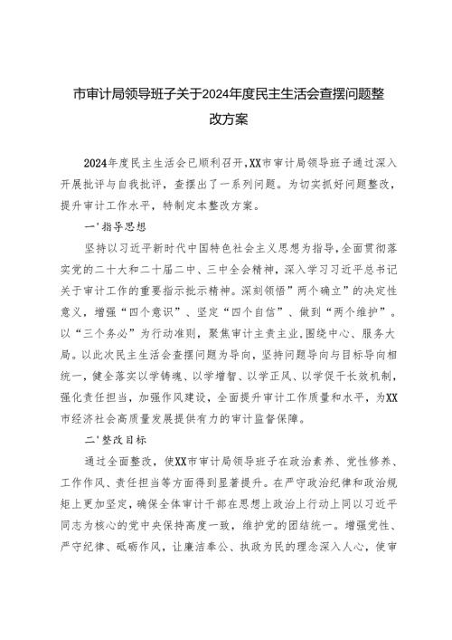 2025年审计系统领导班子关于2024年度民主生活会查摆问题整改方案.docx