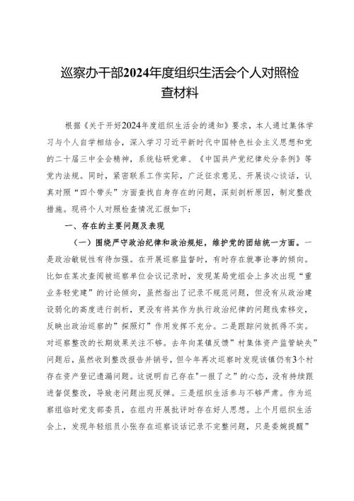巡察办干部2024年度组织生活会个人对照检查材料.docx