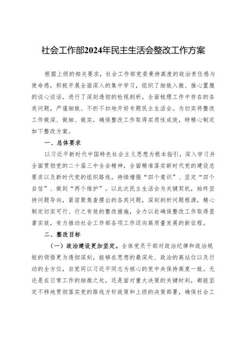 社会工作部2024年民主生活会整改工作方案.docx