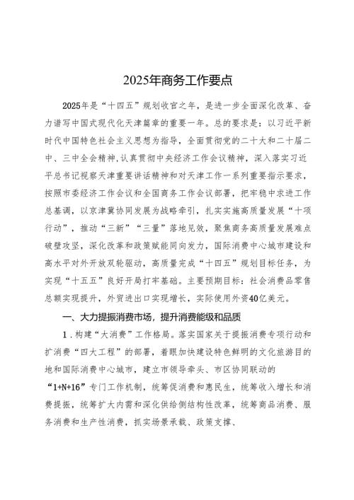 2025年商务工作要点（计划）.docx