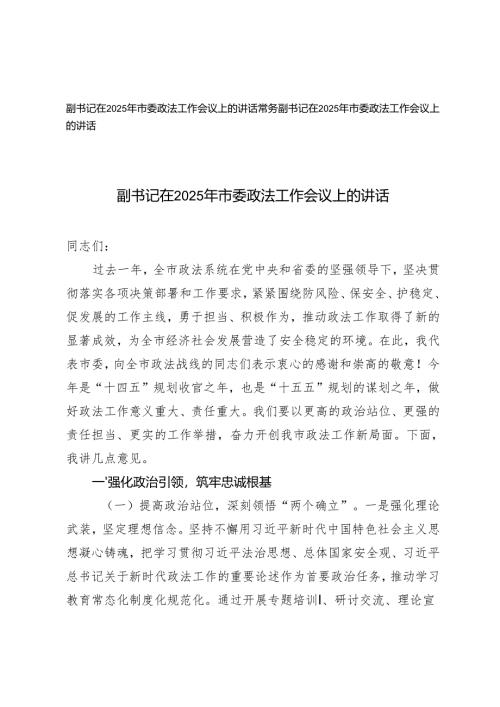 常务副书记、副书记在2025年市委政法工作会议上的讲话.docx