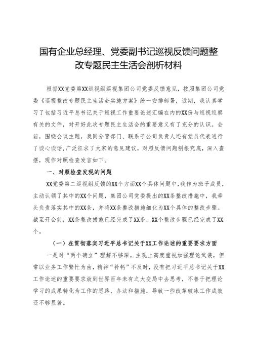 国有企业总经理、党委副书记巡视反馈问题整改专题民主生活会剖析材料.docx