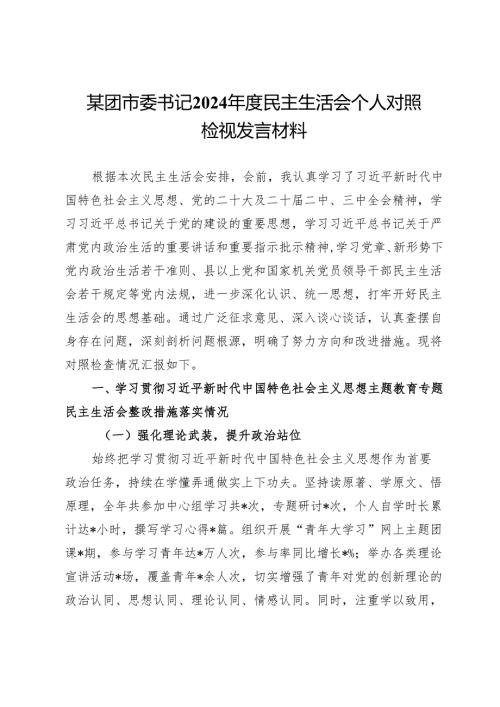 某团市委书记2024年度民主生活会个人对照检视发言材料.docx