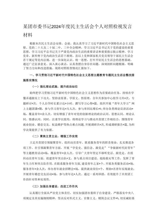 某团市委书记2024年度民主生活会个人对照检视发言材料.docx