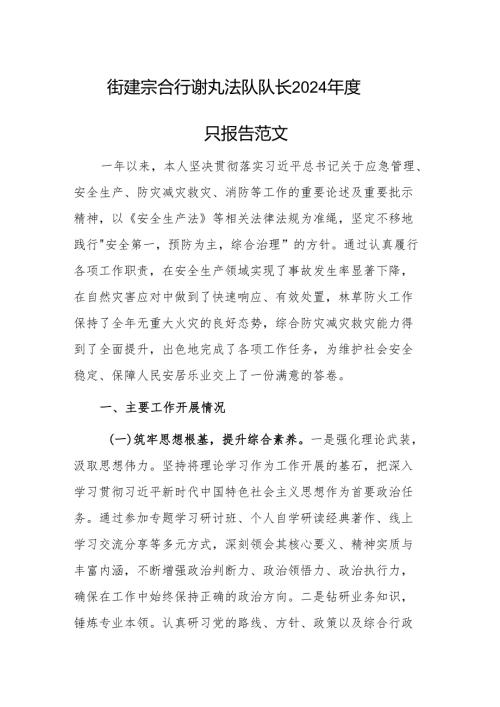街道综合行政执法队队长2024年度述职报告范文.docx