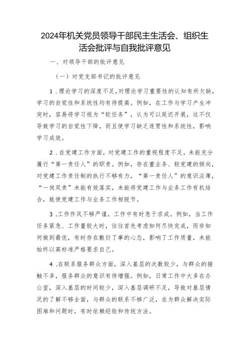 2024年机关党员领导干部民主生活会、组织生活会批评与自我批评意见1.docx