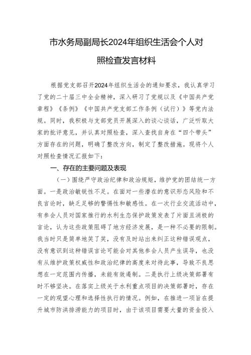 市水务局副局长2024年组织生活会个人对照检查发言材料.docx