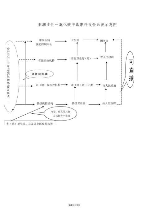 非职业性一氧化碳中毒事件报告系统示意图（2025年XX中医药大学）.docx