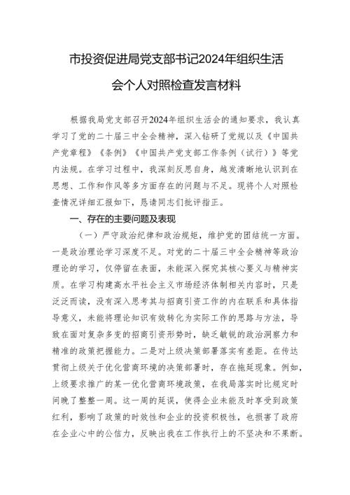 投资促进局党支部书记2024年度组织生活会个人对照检查发言材料.docx