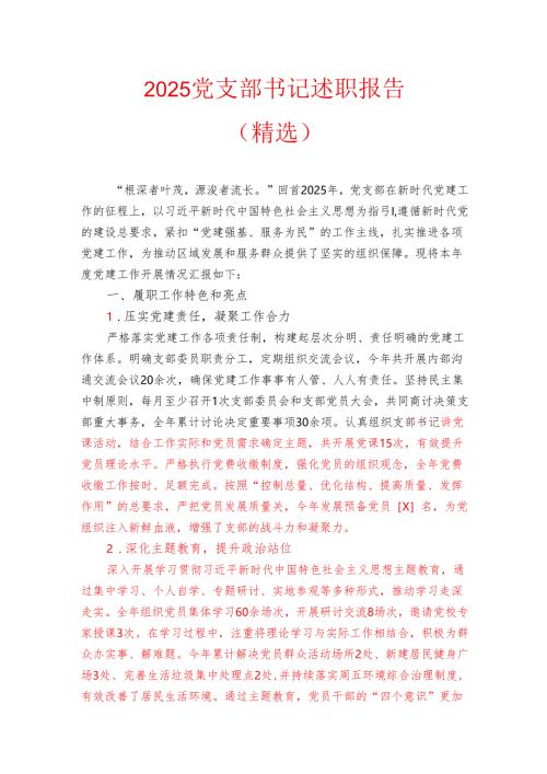 2025党支部书记述职报告（精选）.docx