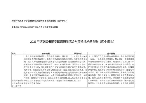 2025年党支部书记专题组织生活会对照检视问题台账（四个带头）.docx