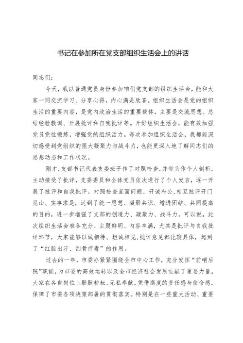 3篇 2025年县（市、区）委书记在参加所在党支部组织生活会上的讲话.docx