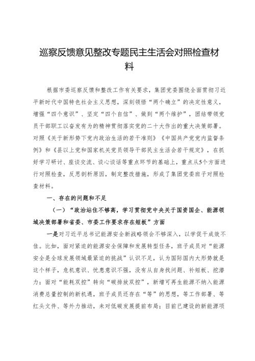 巡察反馈意见整改专题民主生活会对照检查材料.docx