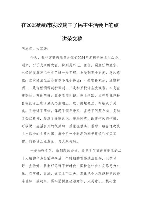 在2025奶奶市发改委班子民主生活会上的点评讲话范文稿.docx