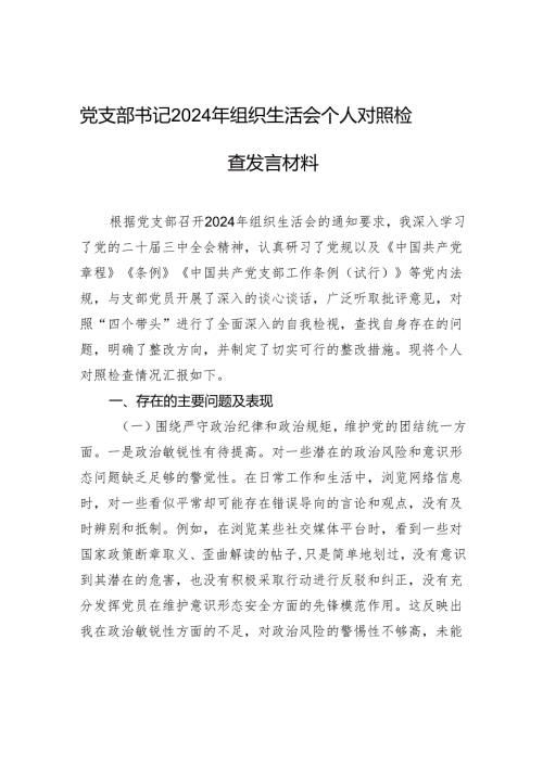 党支部书记2024年组织生活会个人对照检查发言材料.docx