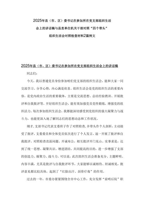 2025年县(市、区)委书记在参加所在党支部组织生活会上的讲话稿与县直单位机关干部对照“四个带头”组织生活会对照检查材料2篇例文.docx