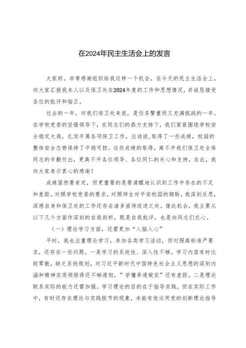 在2025年民主生活会上的发言稿.docx