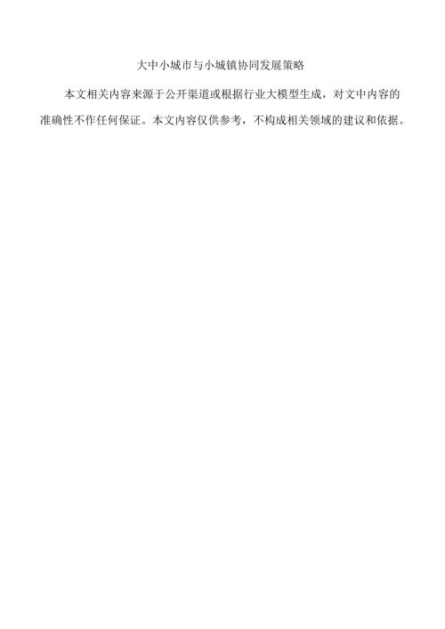 大中小城市与小城镇协同发展策略.docx