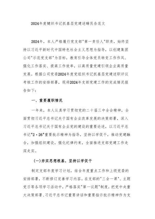 2024年度党组织书记抓基层党建述职报告范文.docx