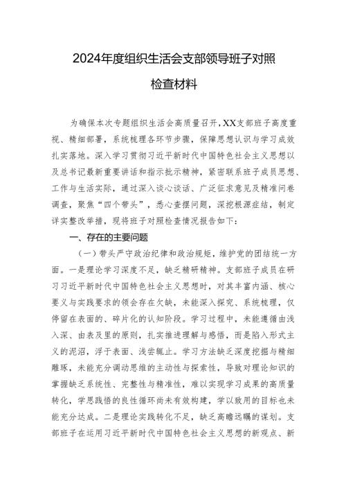 2024年度组织生活会支部领导班子对照检查材料.docx
