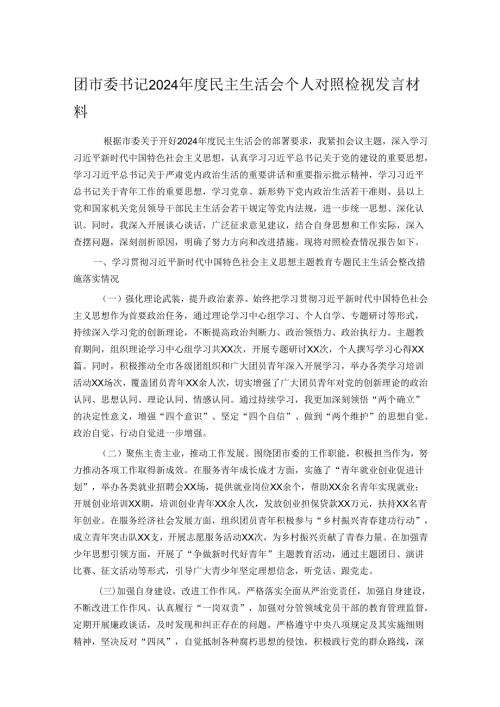 团市委书记2024年度民主生活会个人对照检视发言材料.docx