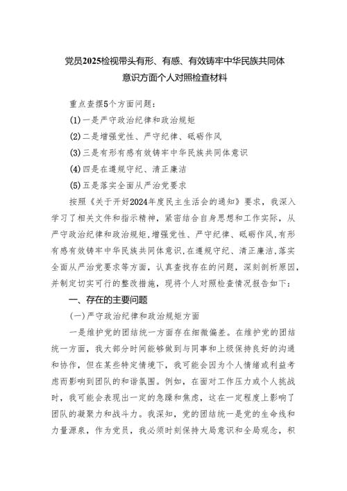 党员2025检视带头有形、有感、有效铸牢中华民族共同体意识方面个人对照检查材料.docx